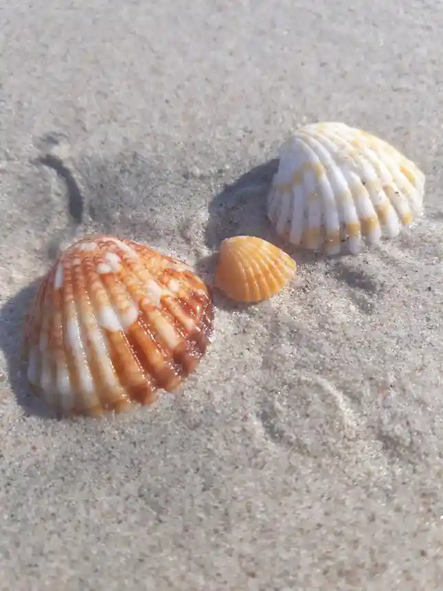 Al Zorah Beach