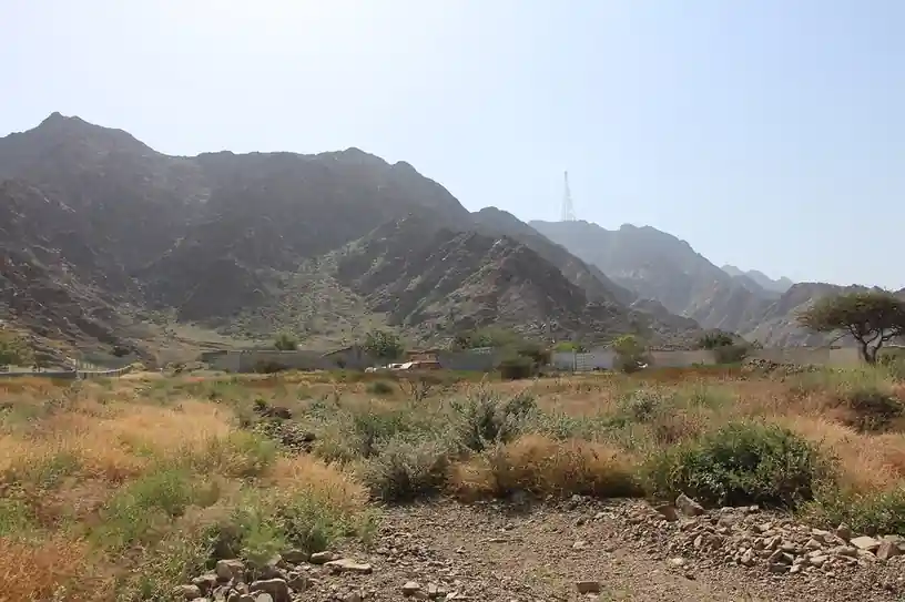Dibba Al Fujairah Beach