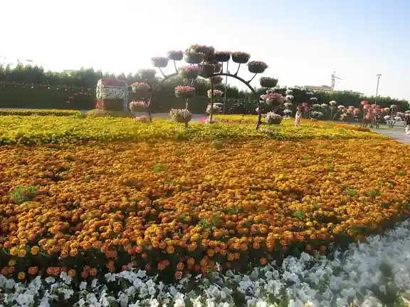 Dubai Miracle Garden
