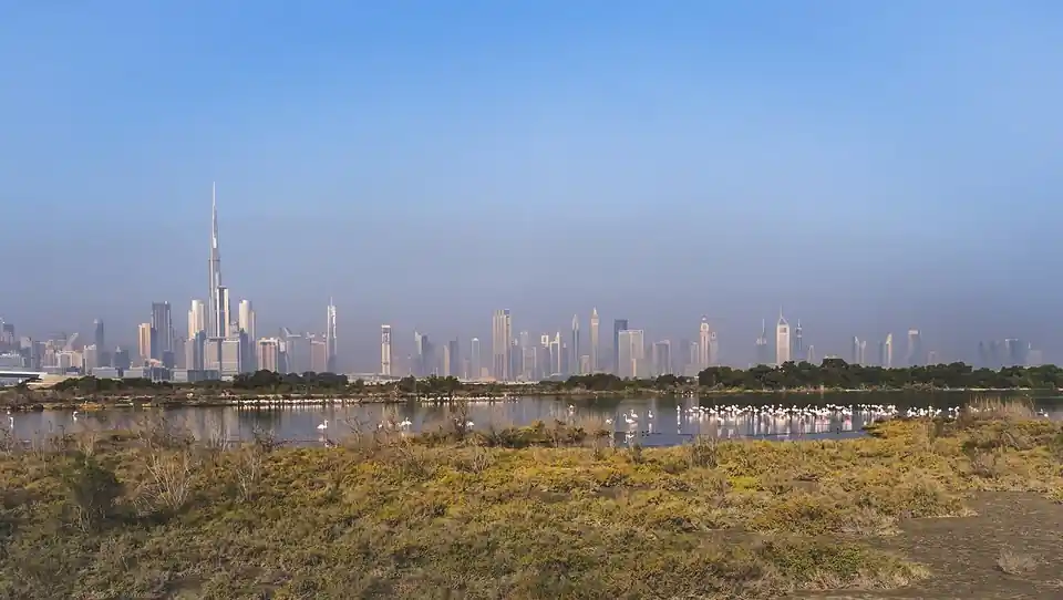Ras Al Khor Wildlife Sanctuary