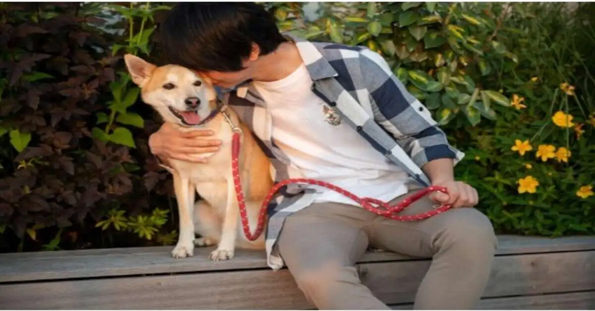 Positive Reinforcement Shapes Pets for Life