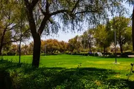 Musharif park Dubai
