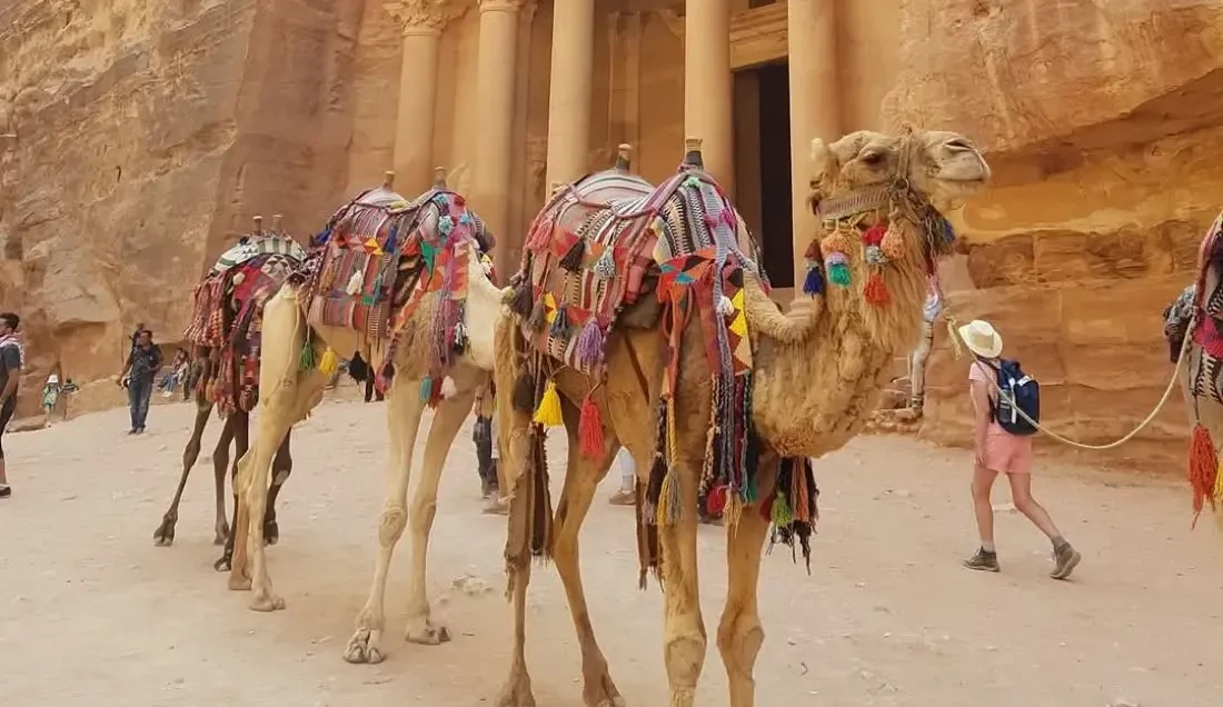 Beginner’s Guide to Exploring Jordan Like a Pro